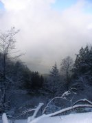 11.27.05 Nesmith Point 056 